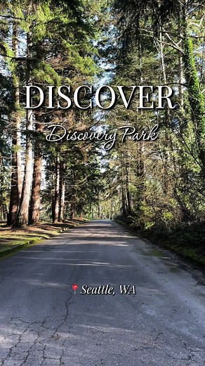 Explore Discovery Park: Free Things to Do in Seattle