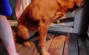 Get wild, Outrageous Acts of Science returns tonight! | Outrageous Acts of Science