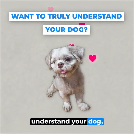 14K reactions · 1.9K shares | Learn the exact steps to stopping your...