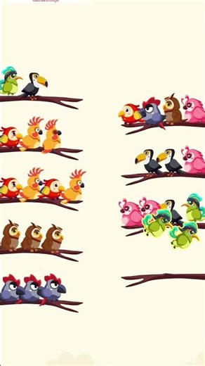 Bird Sort Color Challenge Relaxing Puzzle Game Video | Addictive Bird Sort Puzzle