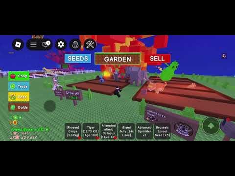 If you see anyone thats trading robux for rare pets DO NOT TRUST THEM⚠️