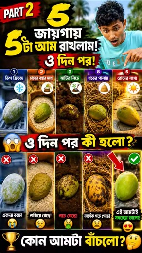 I Hid 5 Mangoes in 5 Different Places! Which One Survived After 3 Days? 😱 | Part 2 #shorts