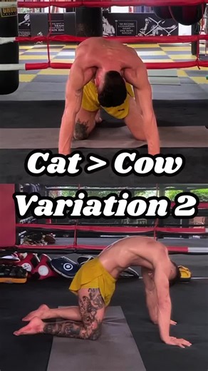 Experience a powerful hip opening with Frog Pose (Mandukasana)! This intense but effective pose stretches your inner thighs and groin, improving overall hip flexibility. Focus on your breath: Exhale as you gently sink deeper into the pose. #yogaworkout #mandukasana