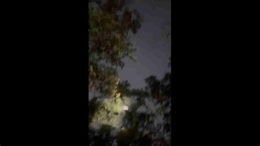 Flying squirrel glides between trees at night in India