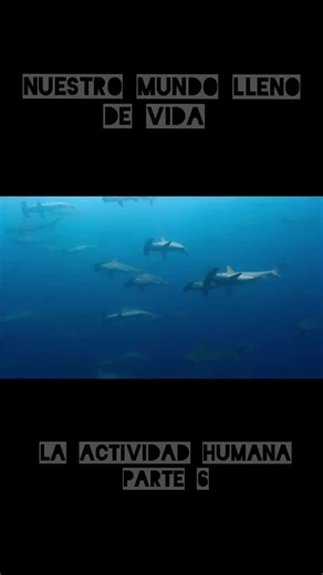 Documentales de Animales: Vida Salvaje y Conservación