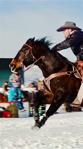 Dear Santa … send snow, fast horses, and the best Skijoring season ever. 🎅🐎❄️ Our kick off event in Heber City, UT is coming up fast! Register your team or snag tickets now! www.proskijor.com. #horses #cowboy #cowgirl #cowgirls #wintersports #skijoring #skiing #snowboarding #horsesofinsta #horsesofinstagramdaily #horsestagram | PRO Skijor