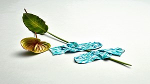 6.4K views · 20 reactions | The pieces are slowly coming together.  Check out our new Ikebana Women Socks  https://bit.ly/2MymVUc | FALKE | Facebook