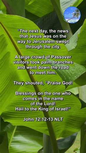 Hail to the King of Israel! - ‭‭John‬ ‭12‬: 12‬-‭13‬ ‭NLT‬‬