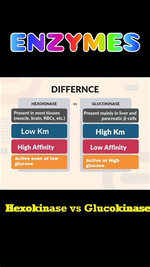 Hexokinase vs Glucokinase #biochemistry #mbbs #doctor #education #students
