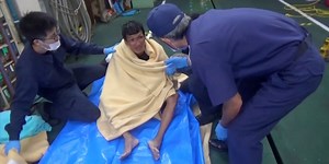 New Zealand Halts Live Cattle Shipments After Vessel With 5,800 Cows Sinks