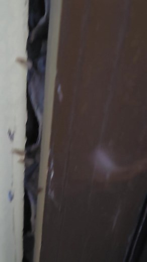 Yes termites (white ants) do fly. These termites are the future kings and queens of a new colony. They fly out from a nest to mate up and create a new nest. If you have these flying pests coming out at your place on a humid night you might have a major problem. Lucky for this customer he called the right person to get the job done and sorted | Todd Pest Control