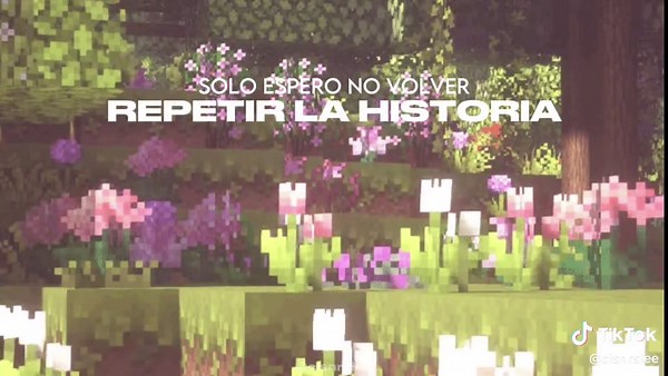 positions. #arianagrande #positions #minecraft #lyrics #traduccion #fyp