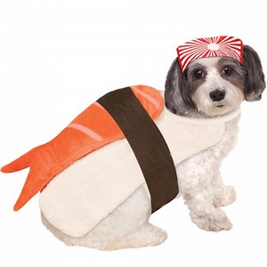 Trick or Treat! 🐶 Shop our boo-tiful selection of Halloween costumes for pets of all sizes! | QVC