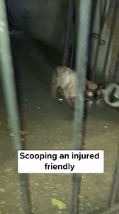 118K views · 10K reactions | Squeeze was crying for help outside late...