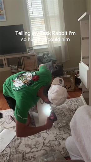 Cute Rabbit Videos: The Adorable Task Rabbit