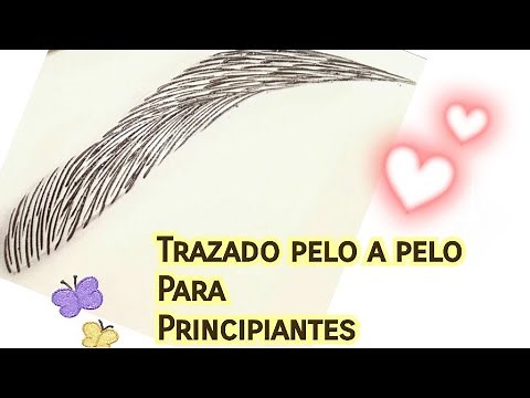 Trazado pelo a pelo para principiantes // Curso Microblading