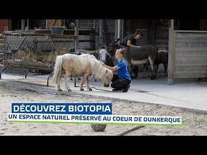 Partez à la découverte du parc Bio-Topia à Dunkerque !