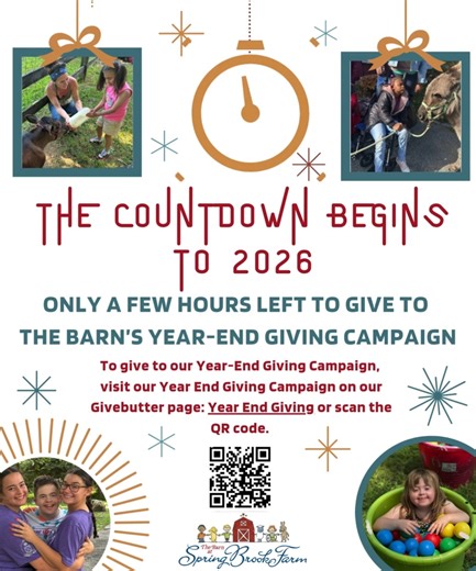 Only a few hours left ot make a difference in the lives of some very special children! Thank you for your support! Let's wrap up the year with a beautiful bow...together we give, together we grow! https://givebutter.com/ilku4s | The Barn at Spring Brook Farm