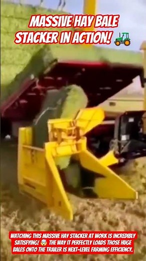 ​Massive Hay Bale Stacker in Action! 🚜 #shorts