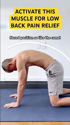 Activate this KEY MUSCLE for Low Back Pain Relief (1 of 3)