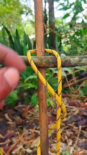 Use This Knot for Farming and Gardening #ropetrick #outdoorskills #knottying