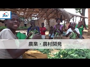 【農業・農村開発】SHEPアプローチ研修ダイジェスト（Full ver.）