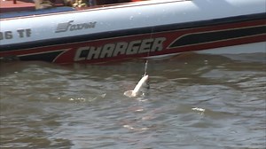 3.5K views · 86 reactions | Last Episode Buck visited Truman Lake in Missouri to fish for White Bass and Crappie VISIT BUCK ON FACEBOOK, TWITTER, INSTAGRAM, YOUTUBE VIMEO, TUMBLR, TIKTOK, RUMBLE, THREADS, & BUCKMCNEELY.COM #hunting #fishing #bass #crappie #travel #adventure #missouri | The Outdoorsman with Max McNeely | Facebook