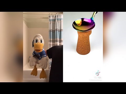 Donald Ducc Reacts To Satisfying TikToks 2 (DO NOT LAUGH CHALLENGE!) @DonaldDucc