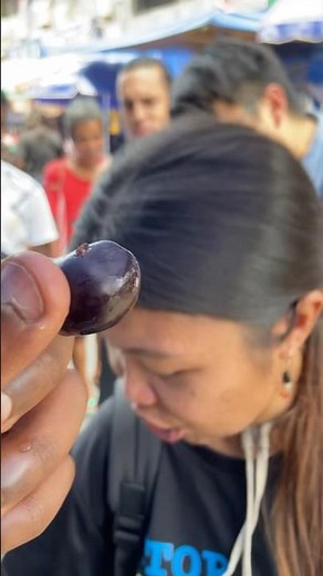 Foreigners Eating Java Plum in the Philippines! 🇵🇭
