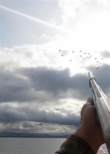 Another huge flock of pintails did it better than I expected ! #duckhunting #waterfowl #hunting