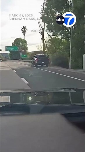 Dog falls out of moving pickup truck on 405 Freeway
