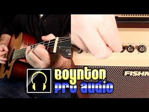 Fishman Loudbox Mini