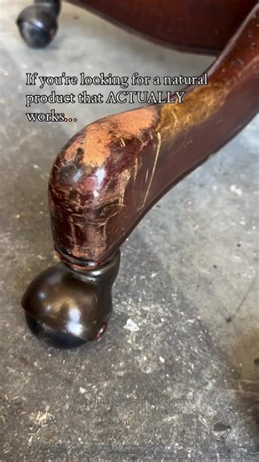 Furniture Salve: Restore and Protect Wood Furniture