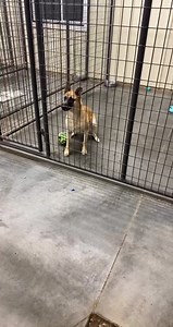 29K views · 177 reactions | It’s Flippin’ Friday! AnyaRoo showin off...