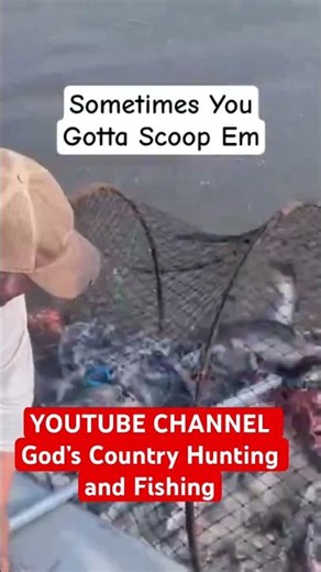 The BEST COMMERCIAL Fisherman #louisiana #fish #lifestyle #education ‪@godscountryhuntingfishing1638‬