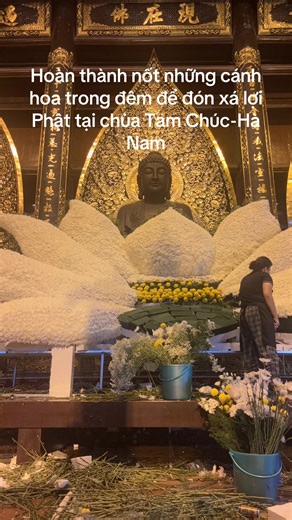 Hoàn thành nốt những cánh hoa trong đêm tại chùa Tam Chúc-Hà Nam 🙏🙏🙏#chuatamchuc #xaloiphat #phatphapnhiemmau
