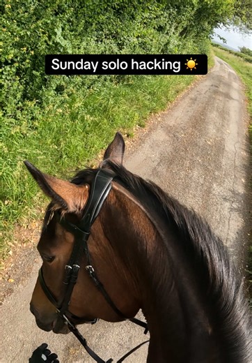 This half term we’ve done more solo hacking, and started to introduce trotting into our hacking now he is strong enough. Can’t wait to see where we will be by the end of August. 👏🏻 #horse #tiktokhorses #equestrian #horsesoftiktok #fypage #fy #fypviral #fyp #horsesontiktok #horses #fyviral #horserider #hacking #exracer #TB #bristol #thoroughbred #countryside #sunnyrides