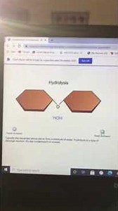 dehydration synthesis hydrolysis flash