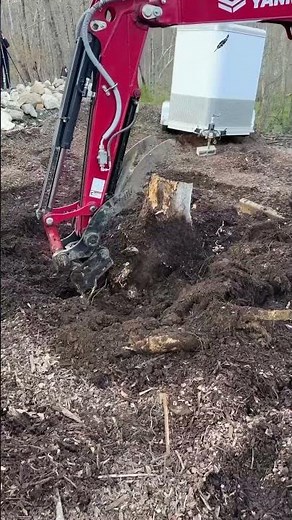 Yanmar Vio55 root ripper