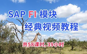 SAP FI模块 PA视频课程 SAP财务模块视频教程 英文界面中文讲解