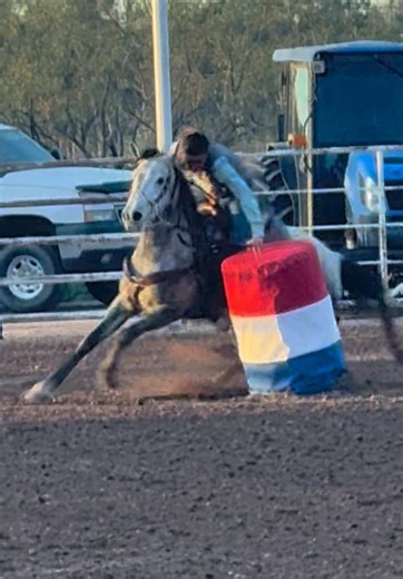 Note do not touch barrels or poles at gymkhana! 🤣🤣🤣 #horsetok #foryoupage #gymkhana #bigm #barrelhorse