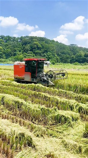 😁 Kubota combine harvester 🌾 #shorts #shortsfeed #agriculture