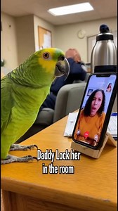 135K views · 3.7K reactions | Parrot Goes FULL FBI Mode on Live Call #funnyvideos #viralshorts #parrot #police #foryouシpage #comedy | Ai Creations | Facebook