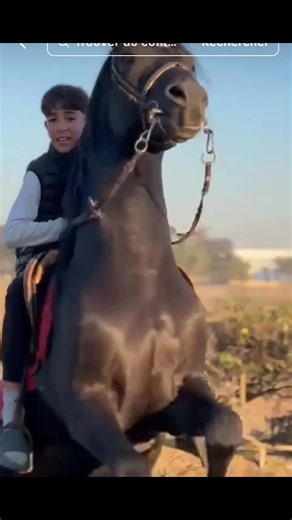 Vidéos de amine ghr 31 (@amineghr31) avec son original - Faycel 🕊️