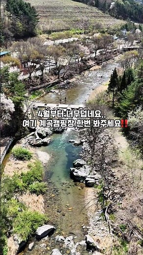 서울근교 계곡캠핑장 지지밸리유명산장오토캠핑장‼️