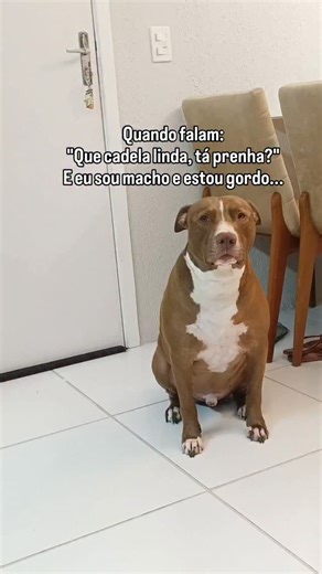 Simba_⛰🎈 on Instagram: "Tá parecendo uma capivara 🤡 #memes #foryou #pitt"