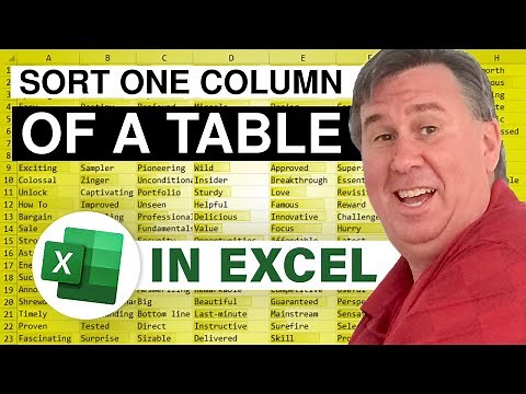 Excel Challenge - Sort One Column In Excel - Episode 2413