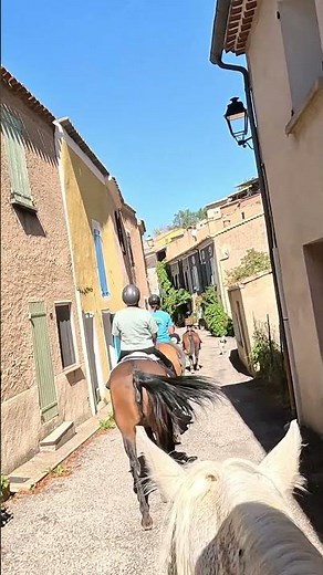 le bruit des sabot !!!!! #cheval #ballade #horse