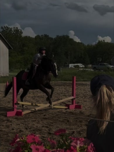 Lifeeeeee! #idolbug #loveidol #horsesontiktok #blowup #CapCut | horses