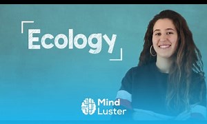 Mind Luster - Learn Top 10 Verbs to Talk about Sustainability B2